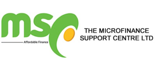 The Microfinance Finance Support