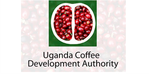 Uganda Coffee Development Authority